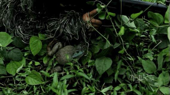 被奶狗偷亲也不能动！淡定背后，军人们经历了啥……