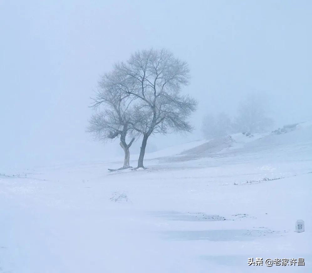真实故事时光一去不复返,真实故事之无法回头