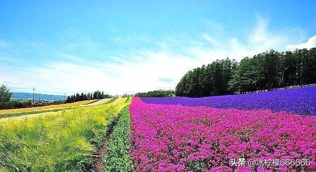 农民返乡创业有哪些好项目可以做,返乡创业扶持项目政策