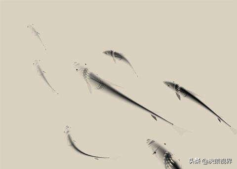 庄子清炖鱼,庄子故里美食