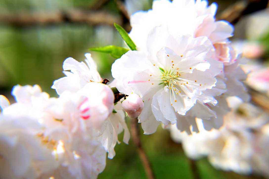 双鱼座的三大特点,双鱼座的性格和最大的特点是什么