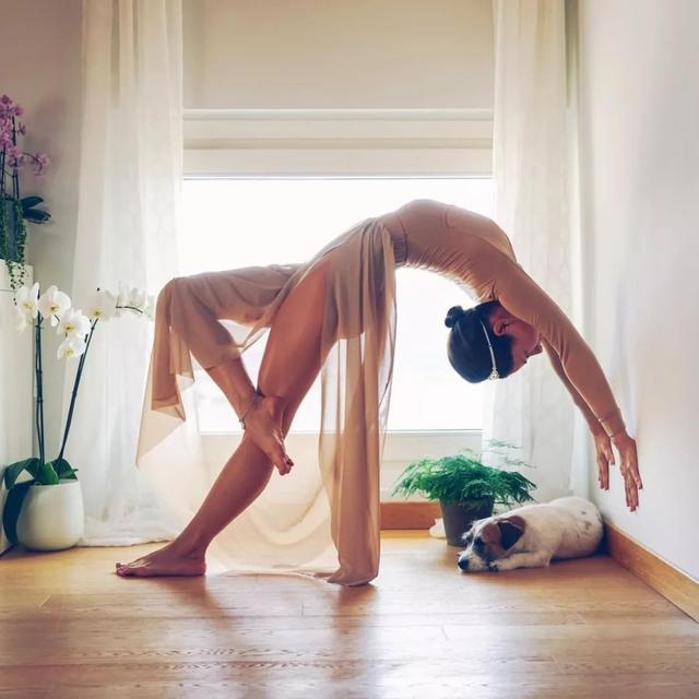 内收肌的多种练法,内收肌正确练法