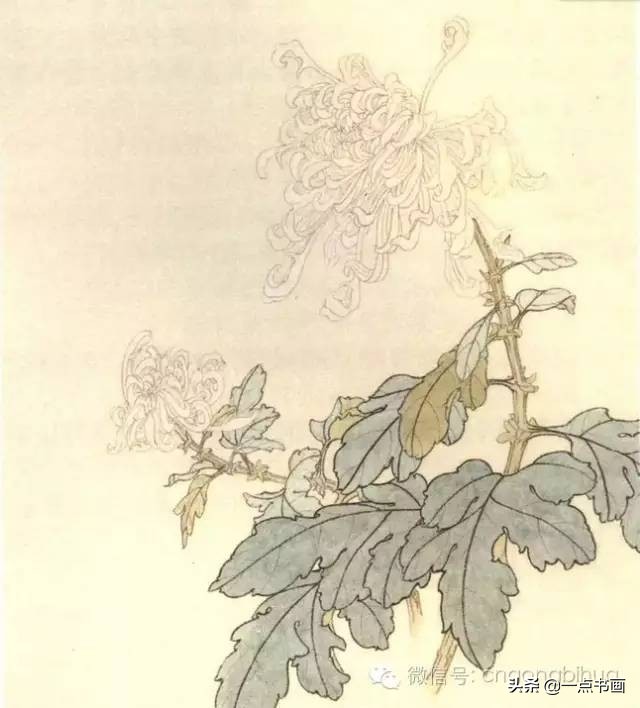 工笔画菊花入门教程步骤图,黄色工笔菊花的上色过程