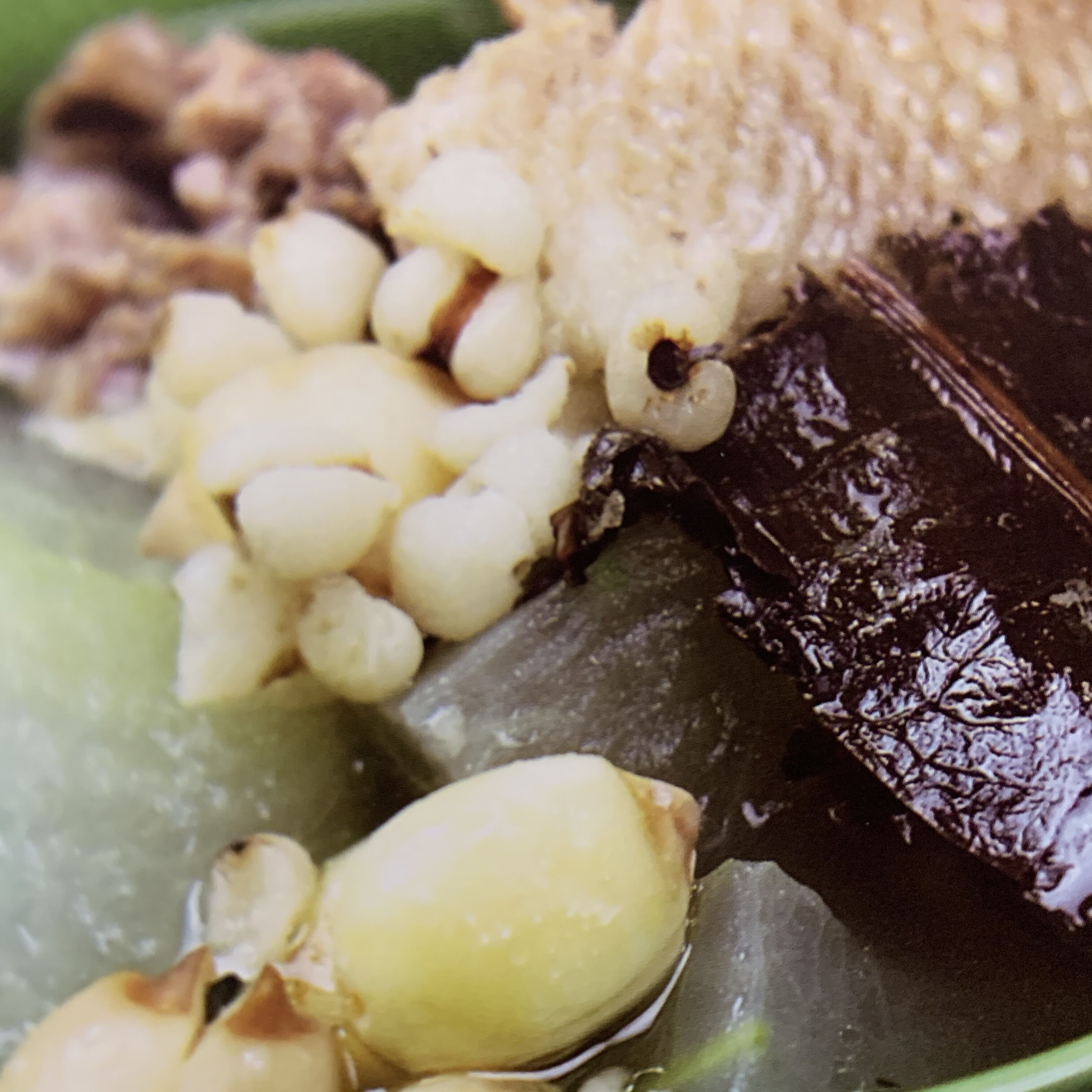 冬瓜水鸭汤有清热解毒功效,冬瓜老鸭煲汤的功效与作用