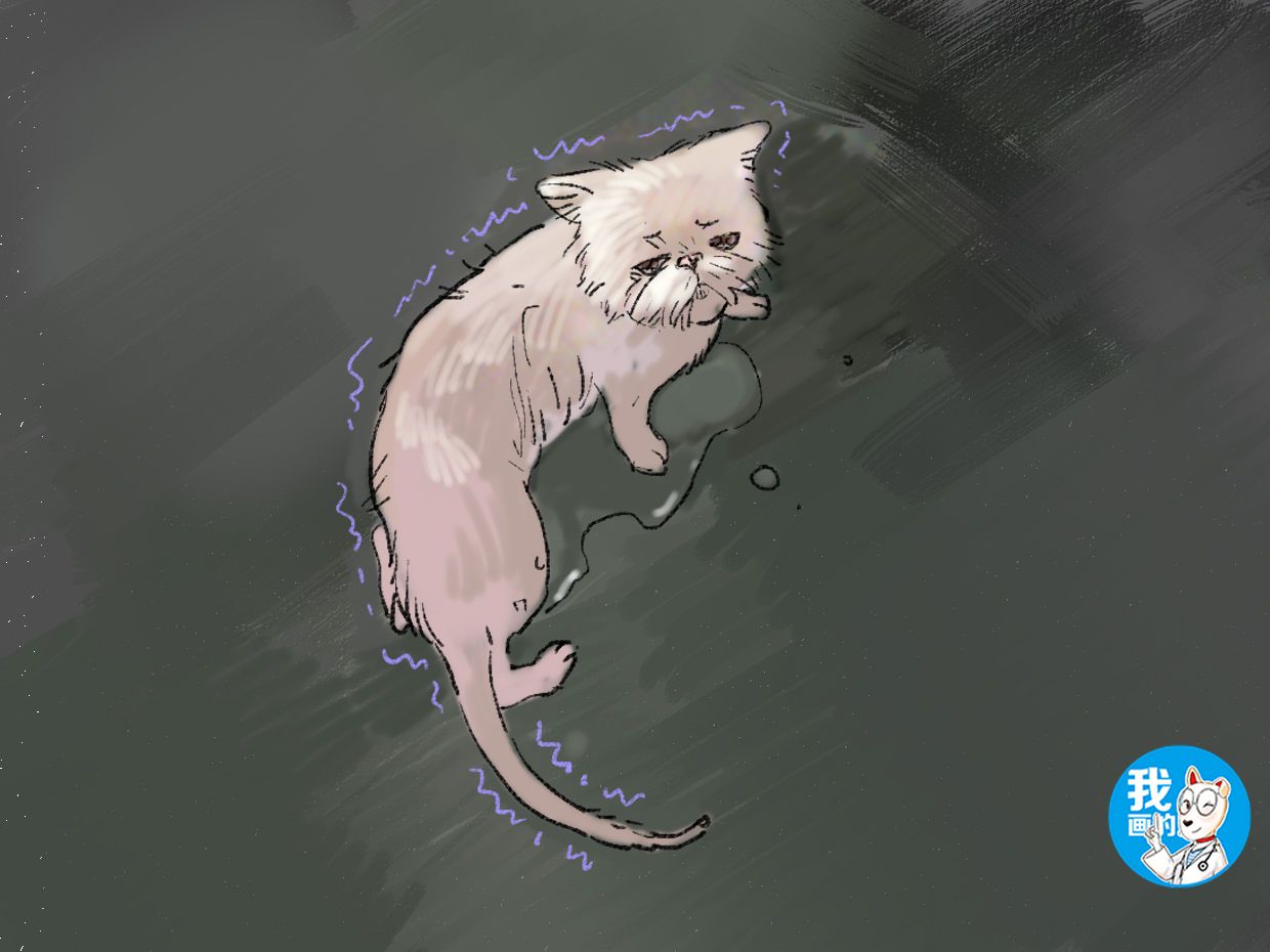 猫咪也会感觉到焦虑不安，铲屎官可千万别忽视掉一些细节