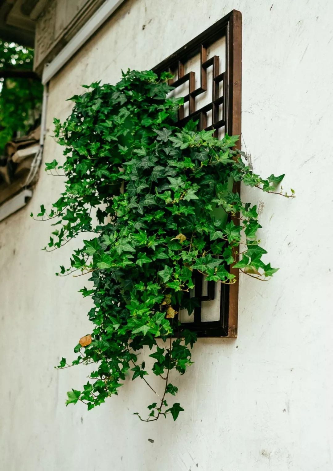 回忆外婆的往事,回忆外婆短诗