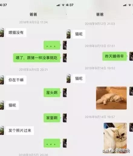 父母到底可以对你有多冷漠？哈哈哈这一定是亲生的系列！