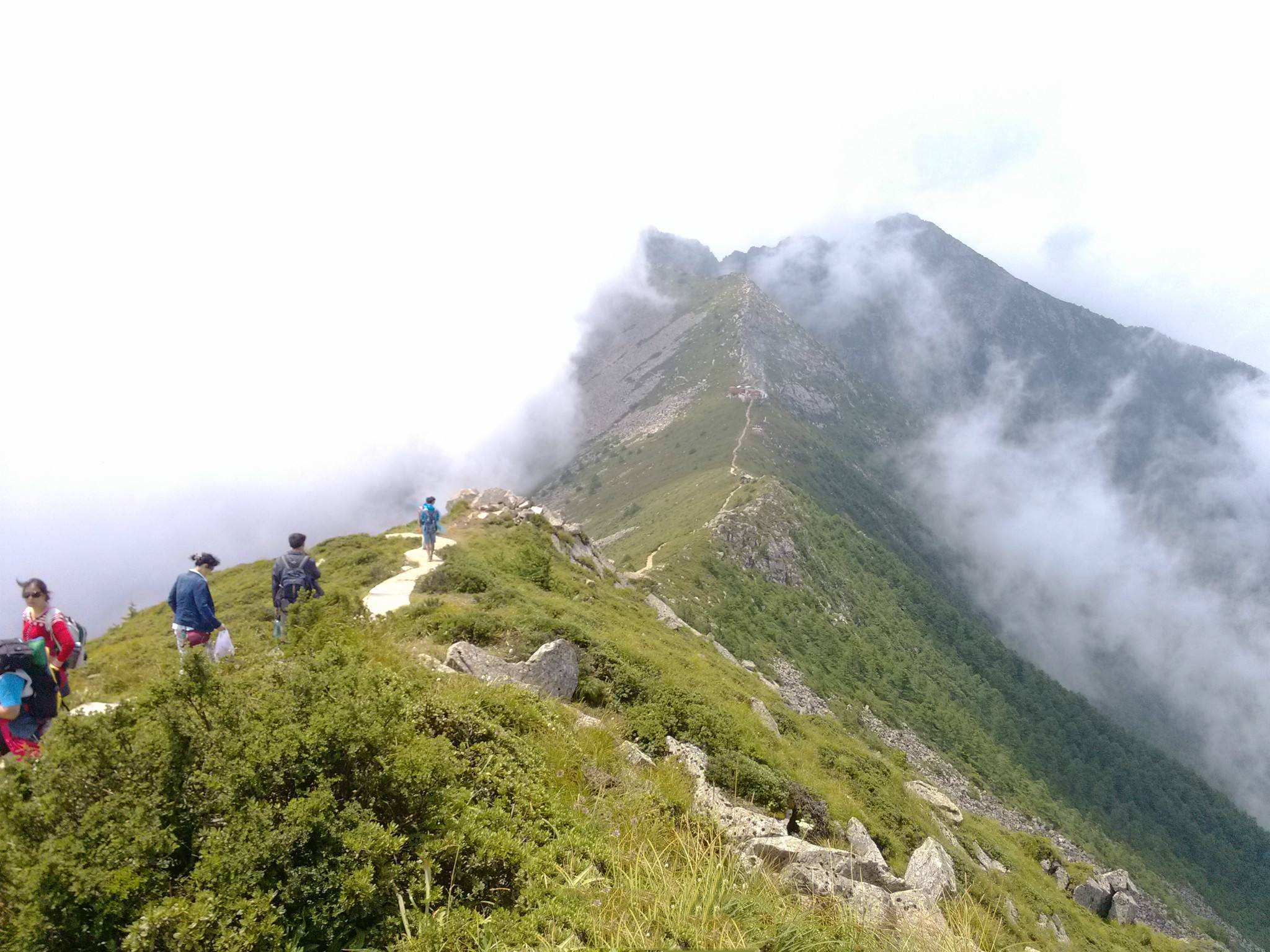 全国十大森林公园,中国十大森林公园