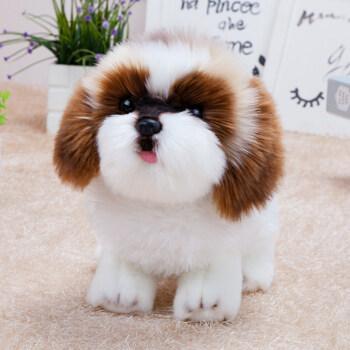 我喜欢的小动物二年级范文小猫咪,我最喜欢的小动物二年级作文小猫