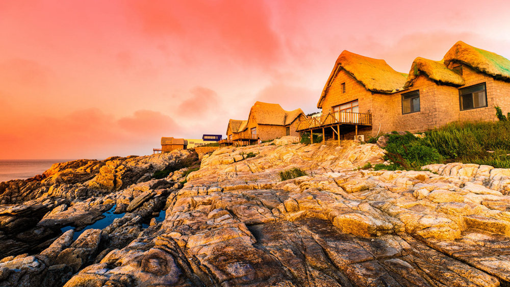 养马岛海驴岛,2020山东海驴岛旅游攻略