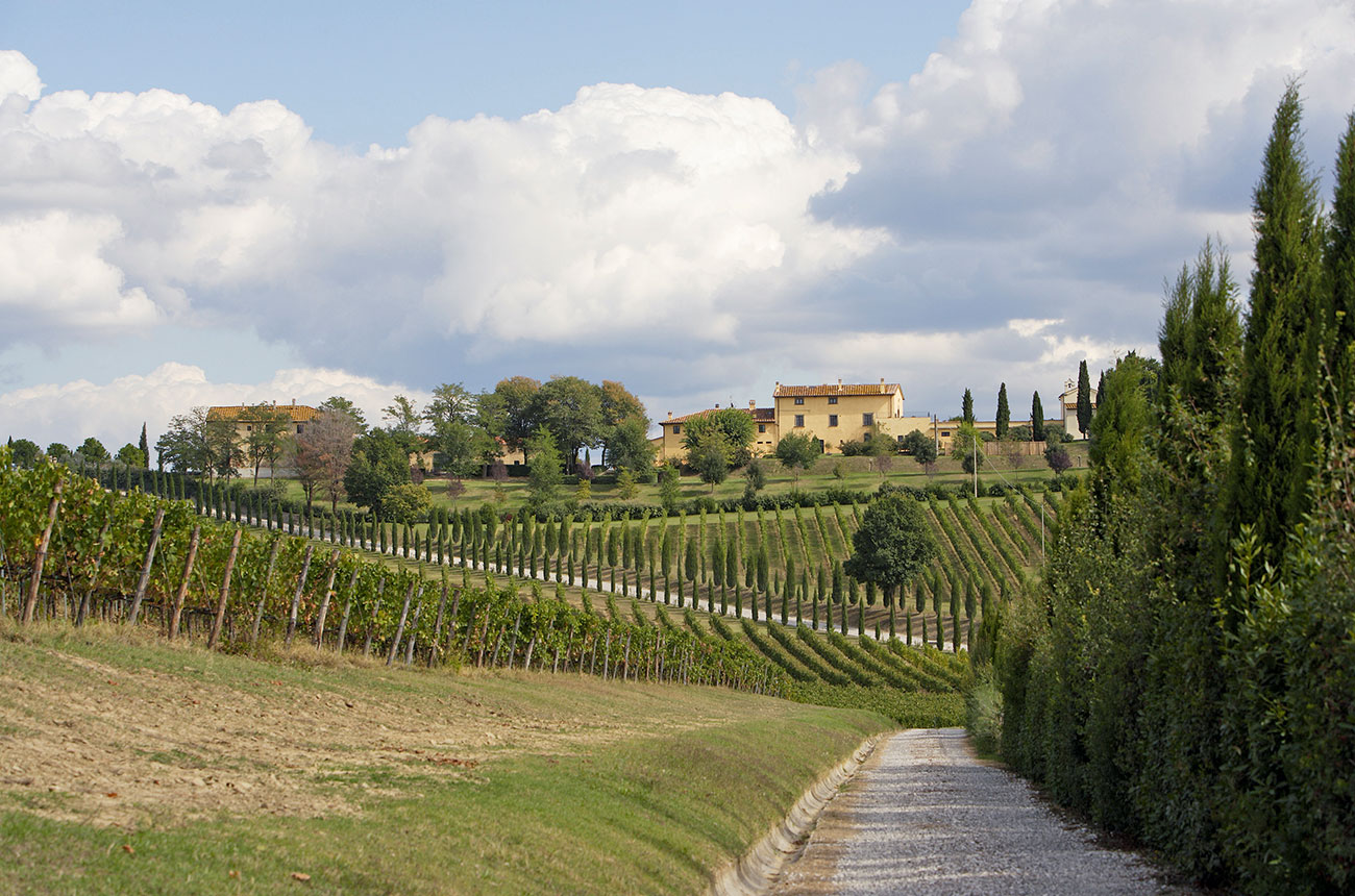 什么是达芬奇的葡萄美酒乐园？我们现在就带你研究