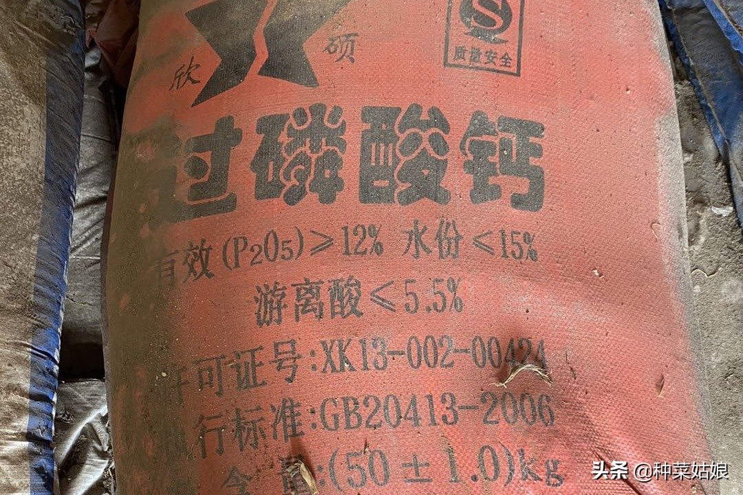 种菜怎么施肥效果最好,种菜长得慢该怎么办