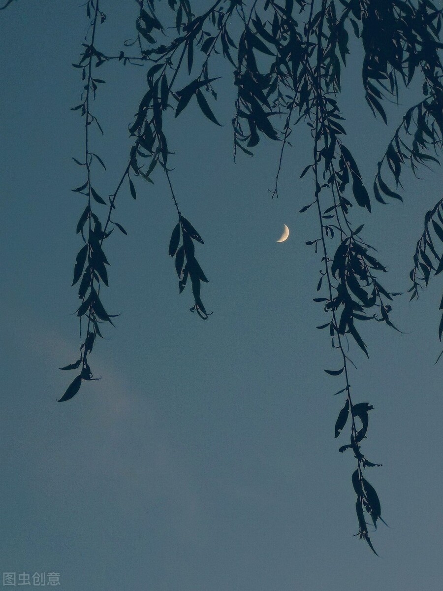 月上柳梢诗词原创,关于月上柳梢头的古诗