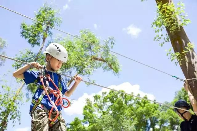可拉熊团购,熊出没9.9元门票
