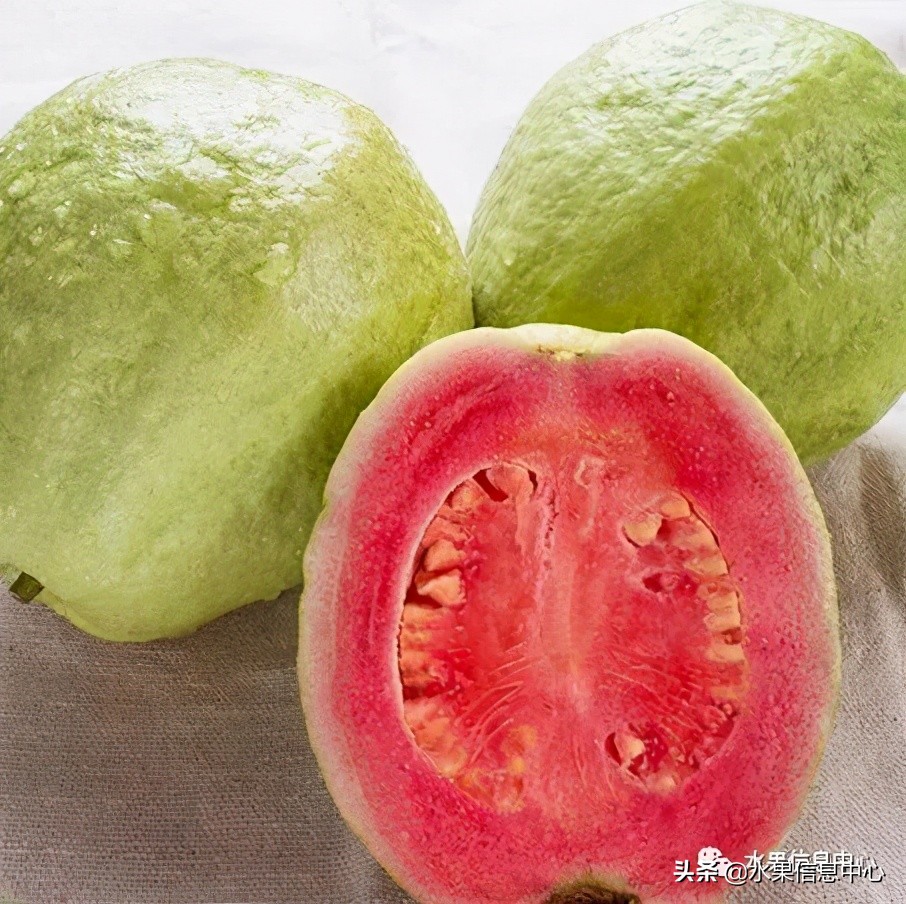 水果天堂：海南水果品种及上市时间表