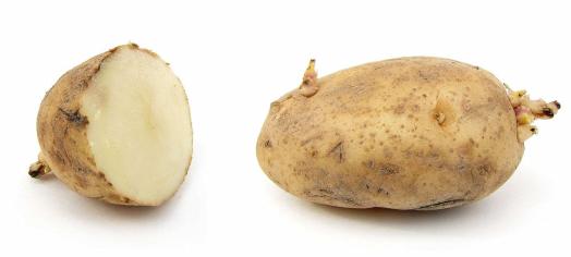 警惕病毒次生危害,警惕多种病毒一并来袭