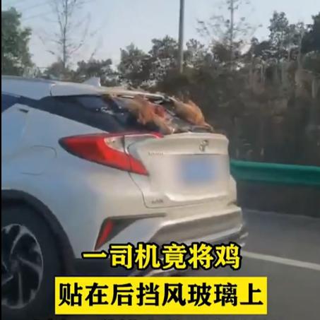 月销近4万这台10万级家轿创佳绩,月销量3万的车