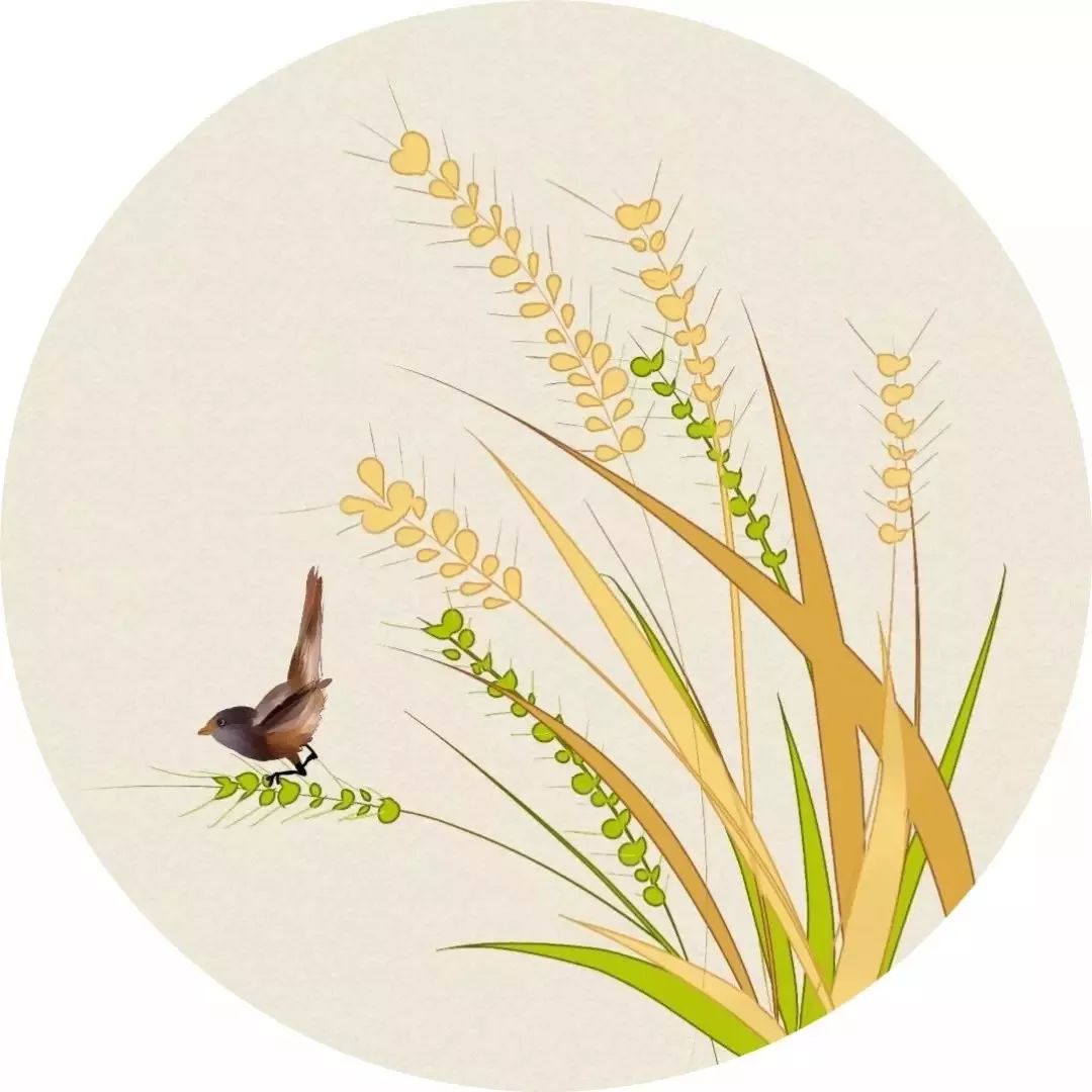 你还知道哪些成语是出自诗词呢,有哪些成语出自古诗词