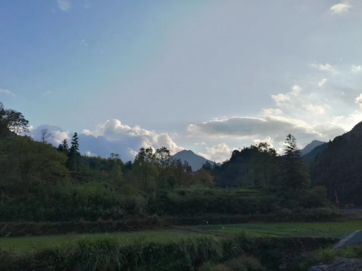 鼻咽癌放疗后中药调理,鼻咽癌放疗后中药怎么调理