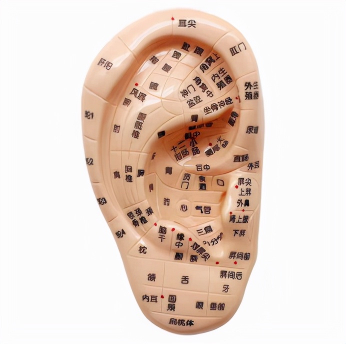 “肛”湖问道|动动小耳朵,身体百病消