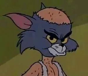 植发的来源从何而来,植发的发从哪里来的