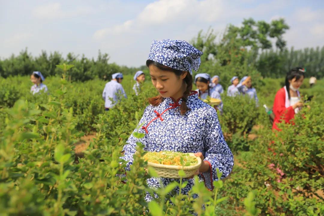 一大波美图即将来袭,一组美照来袭