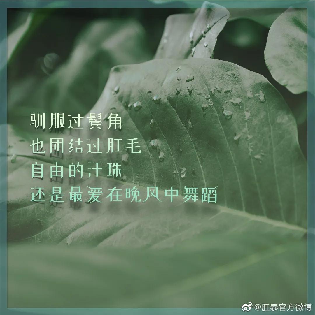 比肩杜蕾斯，肛泰这半年赢麻了