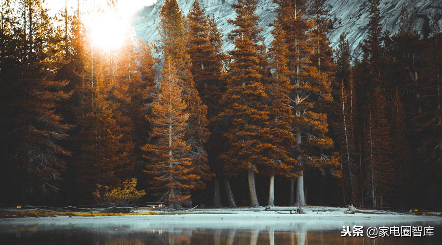 海信创维防蓝光,海信创维康佳小米