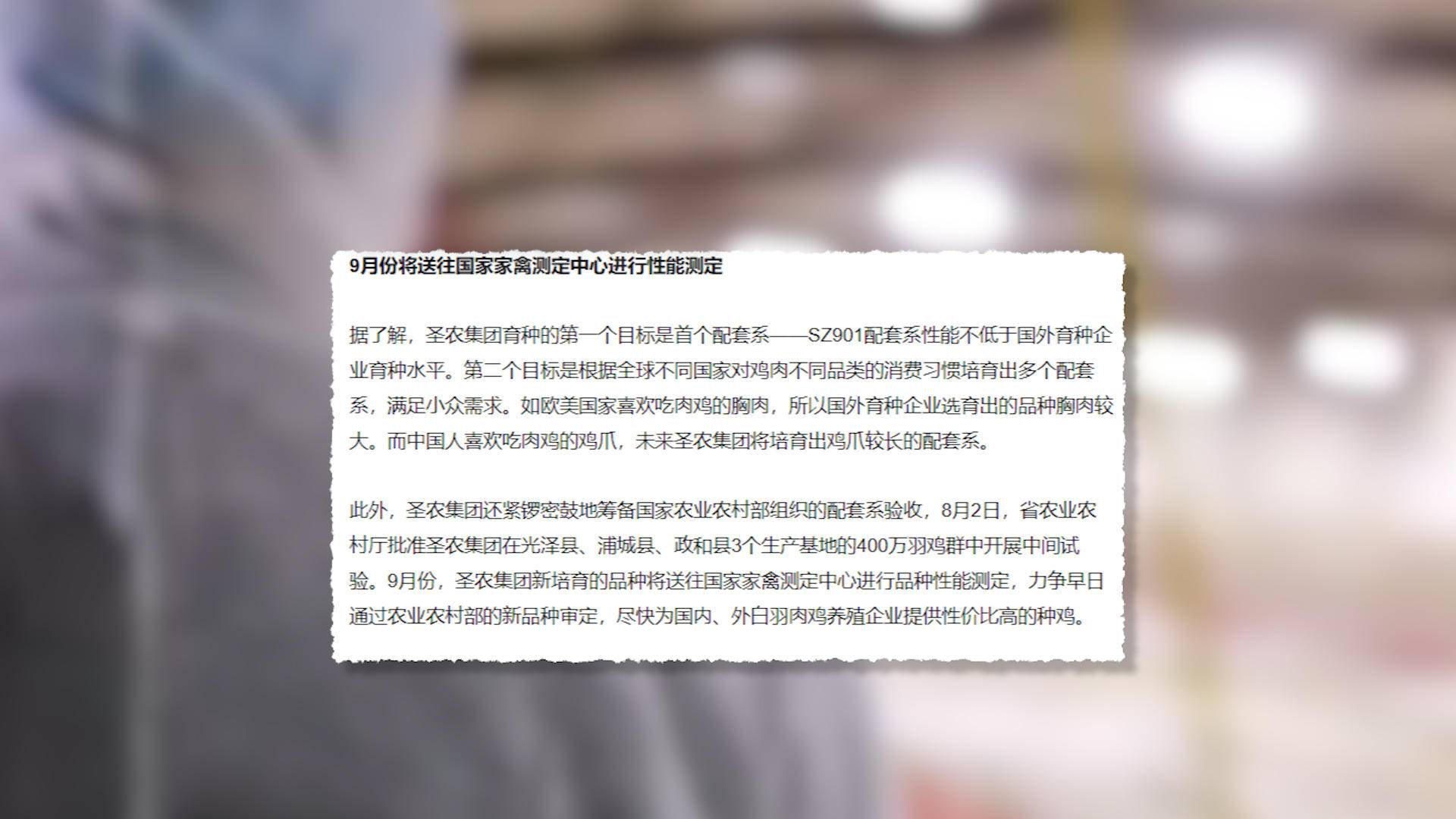 速生鸡与白羽鸡是什么,白羽鸡养殖技术和方法图解