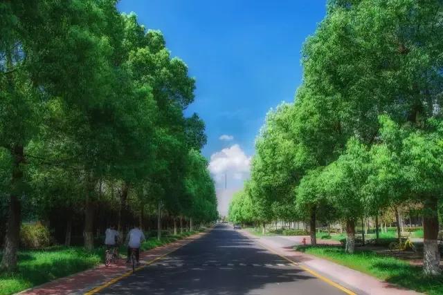 江苏一高校,江苏省四大高校