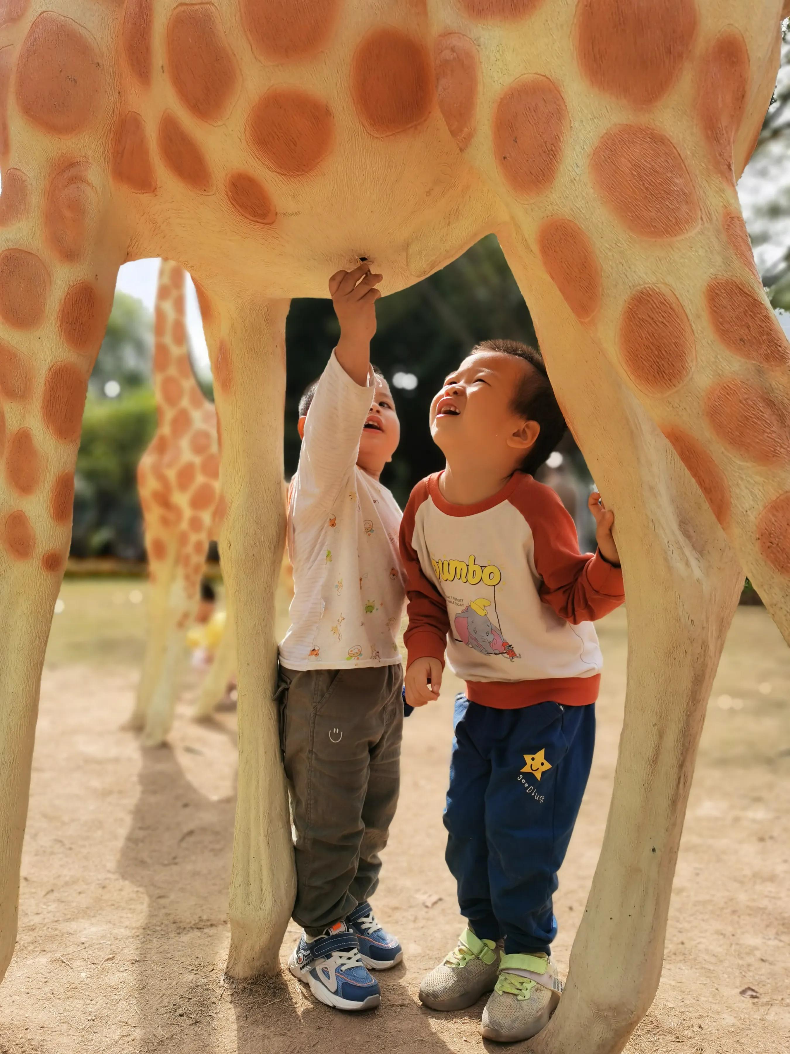 手拍世界手机摄影平台,手机摄影作品集大全集