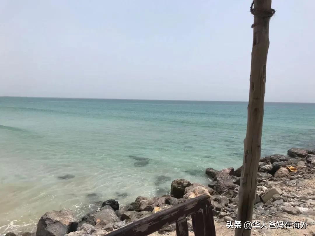 中东前十城市,迪拜旅游城市排名