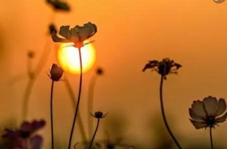 男人选择原谅出轨的妻子代表什么,妻子出轨被丈夫发现跪求丈夫原谅