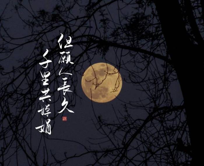 但愿人长久千里共婵娟指的是什么,但愿人长久千里共婵娟是什么意思