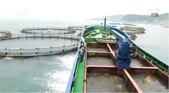 年过花甲,他重回“鬼门关”,抓出上亿黄金财