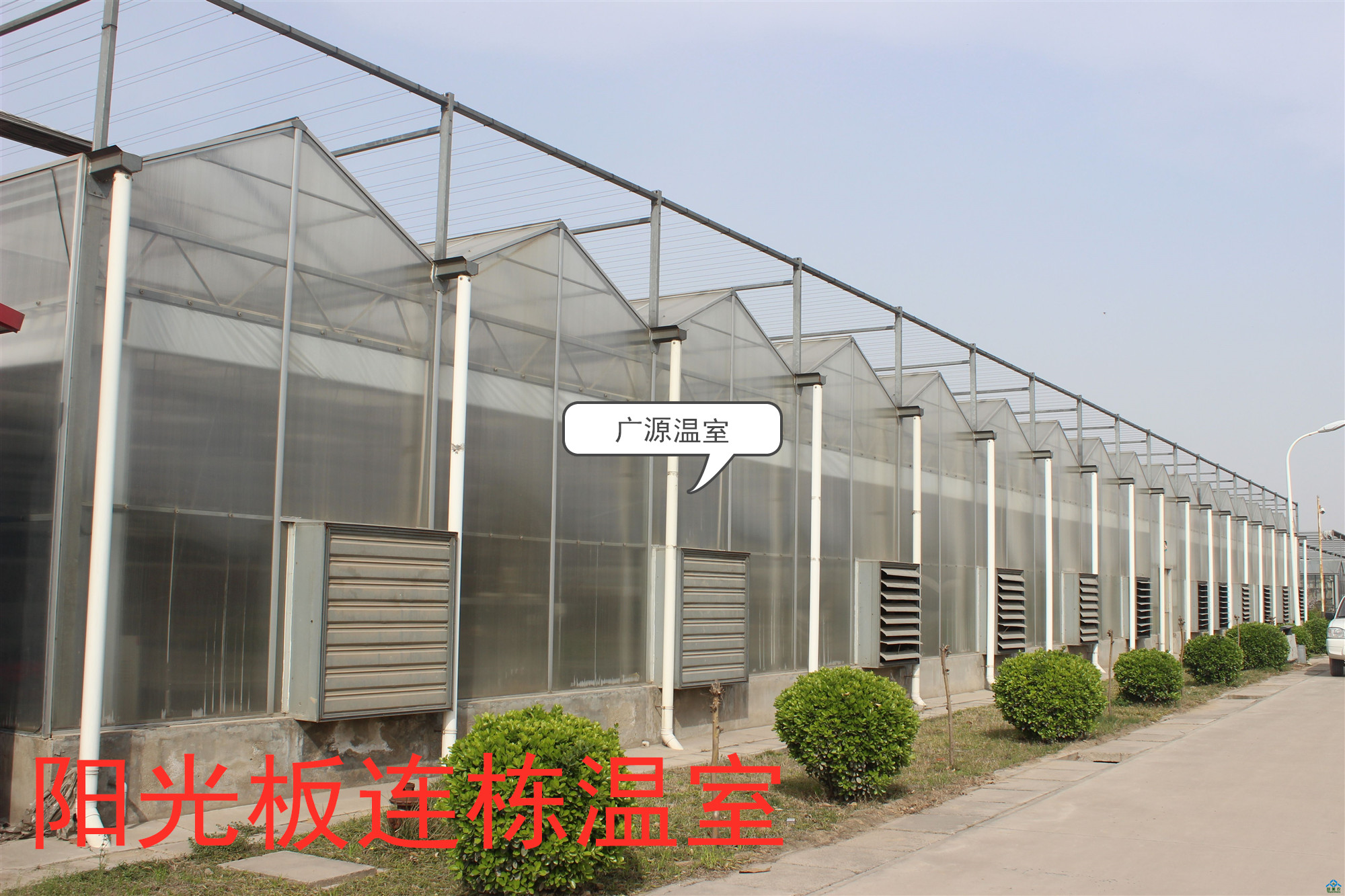 简易连栋温室大棚一亩地多少钱,河北连栋温室大棚一亩地多少钱