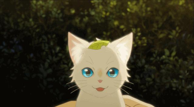 这部温情的撸猫片,让我哭得溃不成军,这是全世界猫*党**的胜利