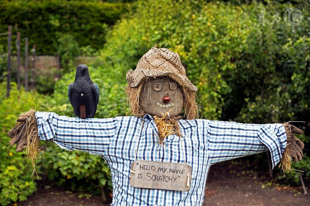 小说：她将自己二十万积蓄借给渣男，没想到渣男转身与闺蜜在一起