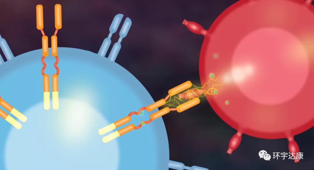 利剑出鞘!三大新型细胞免疫疗法向实体瘤“宣战”