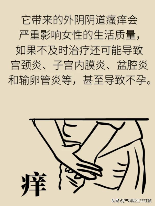 白带增多、脓性灰黄色伴豆渣样、霉菌性阴道炎真的是“发霉”了吗