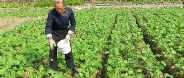 氨基酸是什么有什么用,氨基酸葡萄糖钙骨素的功效和作用