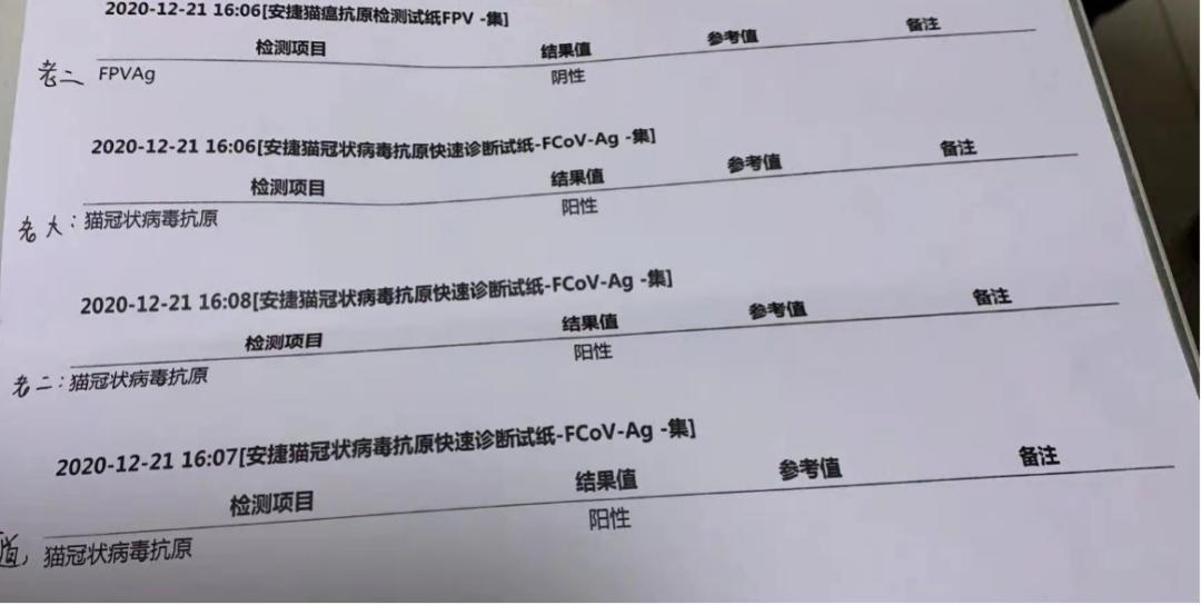 猫感染了新型冠状病毒有什么症状,猫感染新型冠状病毒会有哪些症状