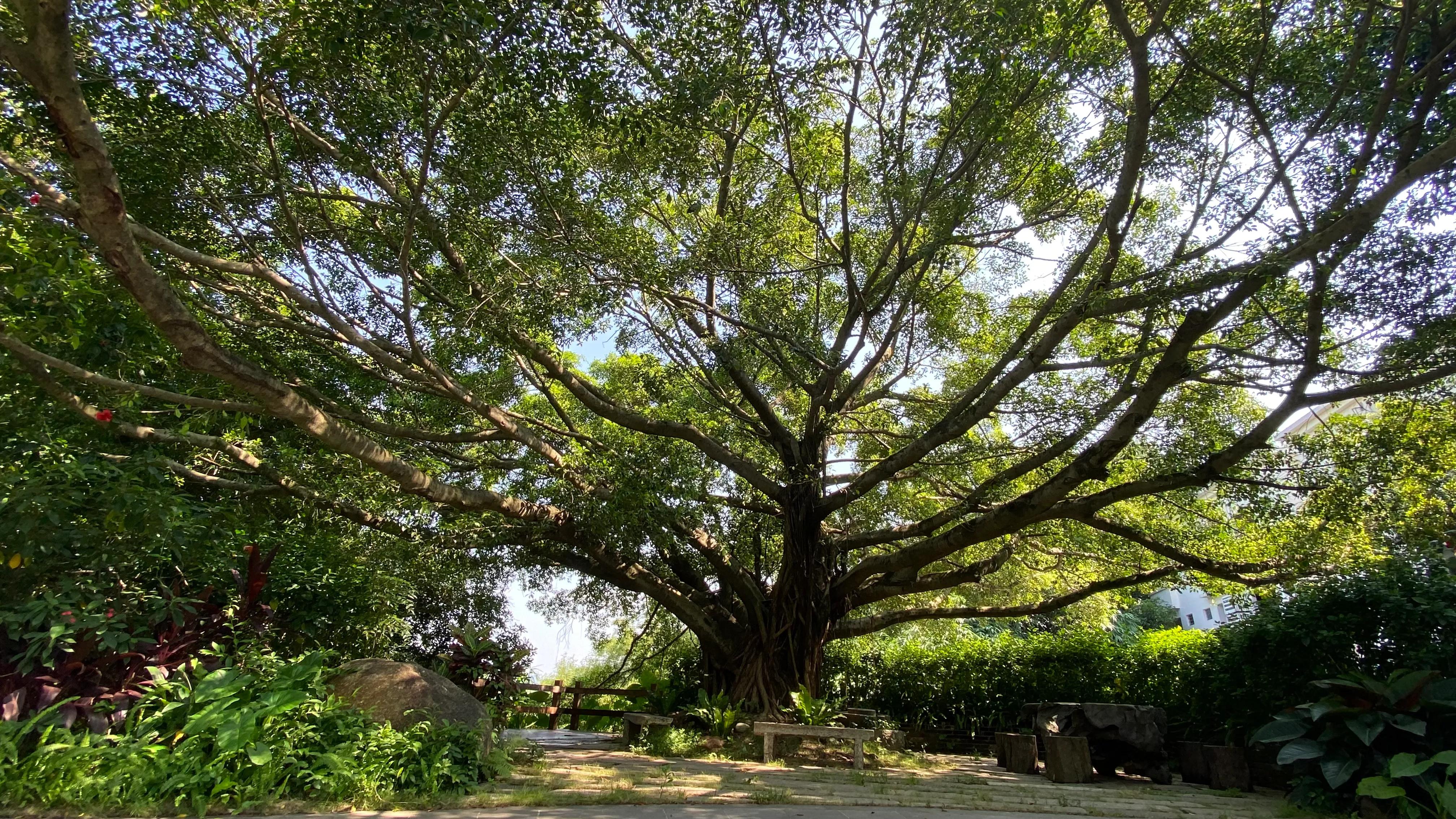云浮新兴县六祖龙山温泉,六祖小镇龙山温泉