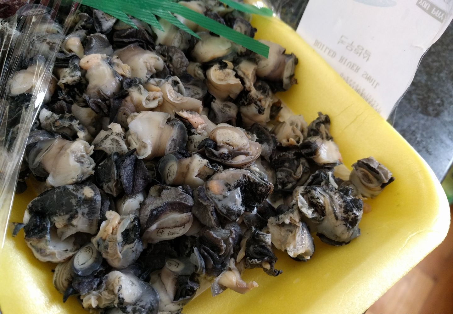 最大蜗牛入侵我国,南方到处是:非洲人的美食,中国人却不敢吃