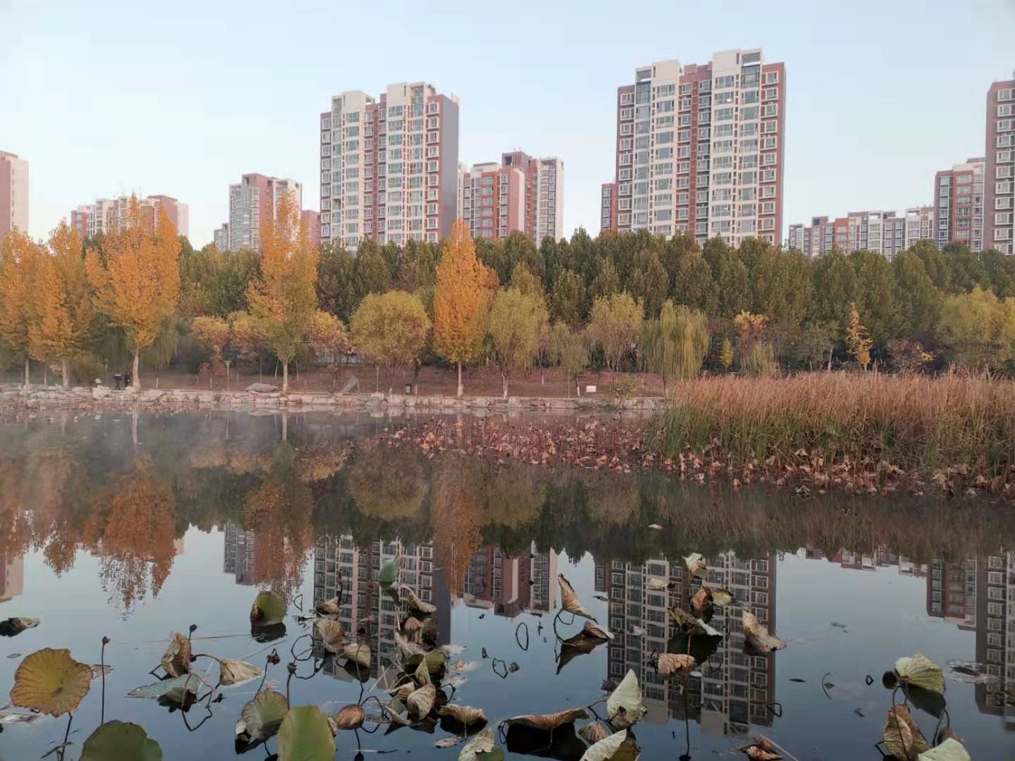 初冬早晨散文,散文春日的清晨