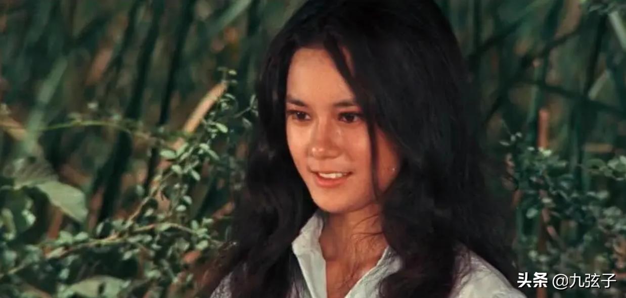 苗可秀遇见陈国坤,苗可秀与苗乔伟关系