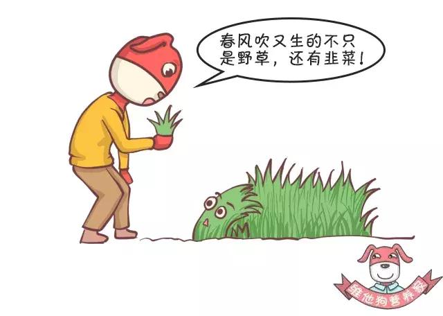 香菜、香椿……这些有味道的蔬菜,吃了有什么好处?