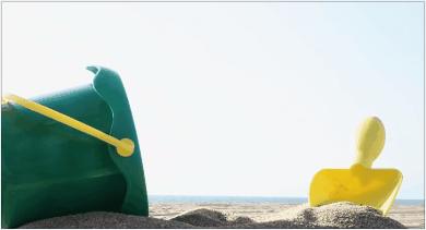 鸽子为什么这么大？懂数学的给出了答案