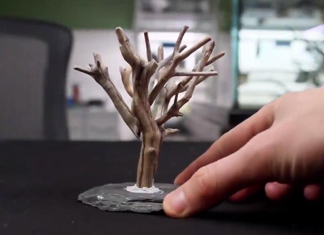 莫斯树到底好不好,莫斯树是什么