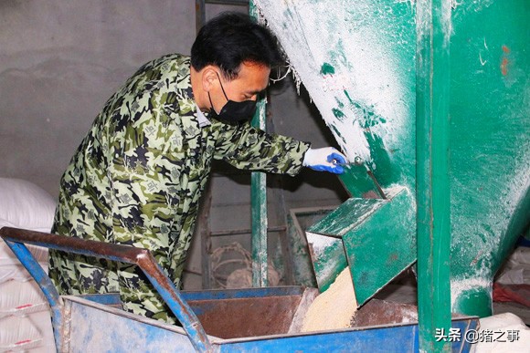 母猪采食量低的原因及解决方案,母猪哺乳期厌食是怎么回事